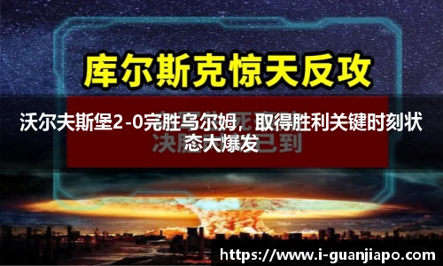 管家婆资料